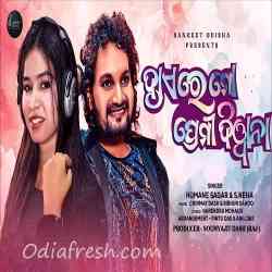 Haye Re Mo Premi Diwana